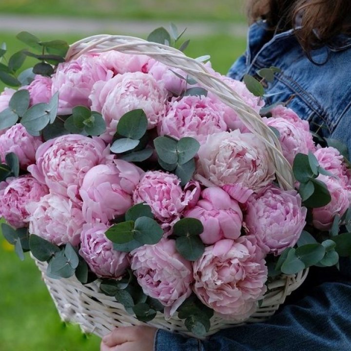 51 пион в корзине в Нячанге